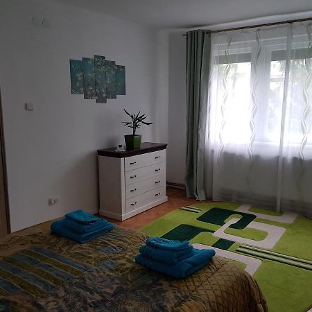 Aris Apartment Vajdahunyad Kültér fotó